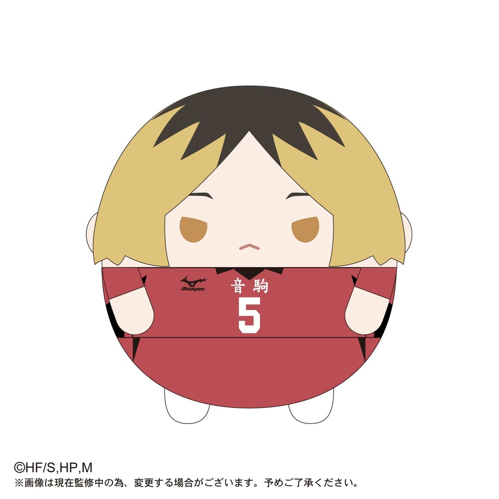 (PO) HQ-05 Haikyu! Fuwakororin 2 [BOX] Image_5