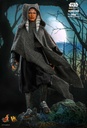 (PO) Television Masterpiece Series Deluxe DX21 - The Mandalorian - Ahsoka Tano & Grogu Image_10