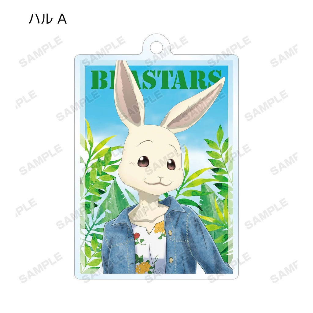(PO) BEASTARS Tobu Zoo Collaboration Original Illustration Casual Outfit Ver. Trading Acrylic Key Chain [BOX] Image_4