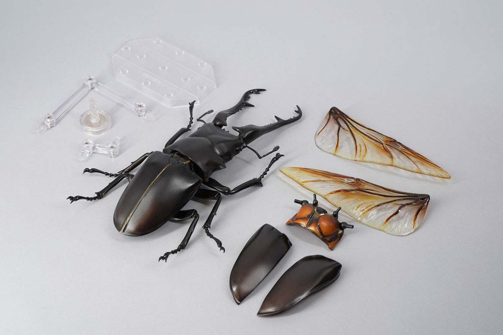 (PO) REVO GEO Prosopocoilus Giraffa - Giraffe Stag Beetle Image_20