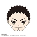 (PO) HQ-20 Haikyu! Hug x Character Collection 4 [BOX] Image_4