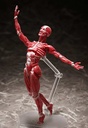 (PO) figma SP-142 Human Anatomical Model Image_8