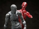 (PO) figma SP-142 Human Anatomical Model Image_10