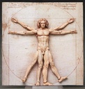 (PO) figma SP-075 The Table Museum Vitruvian Man Image_2