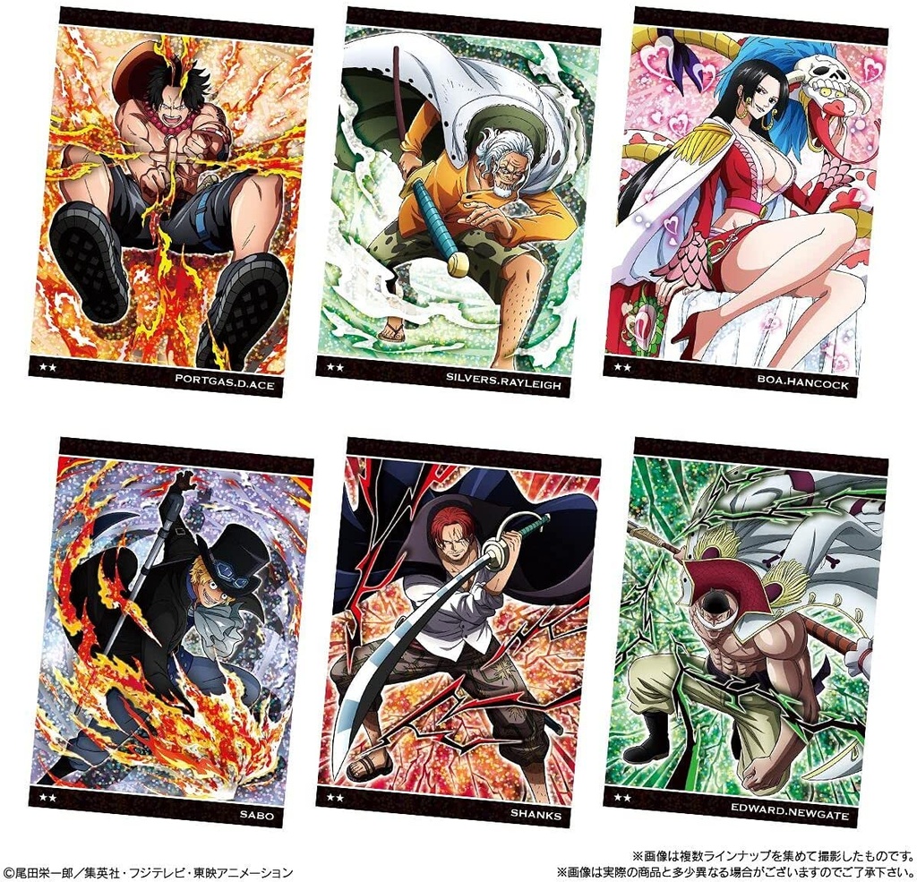 (PO) One Piece Wafer Grand Log [BOX] Image_4
