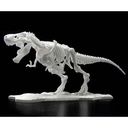 (PO) LIMEX Dinosaur Skeleton - Tyrannosaurus Image_4