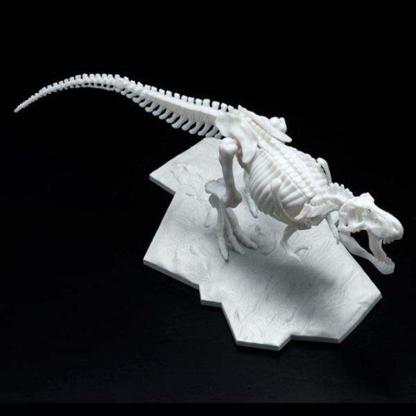 (PO) LIMEX Dinosaur Skeleton - Tyrannosaurus Image_5