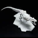 (PO) LIMEX Dinosaur Skeleton - Tyrannosaurus Image_5