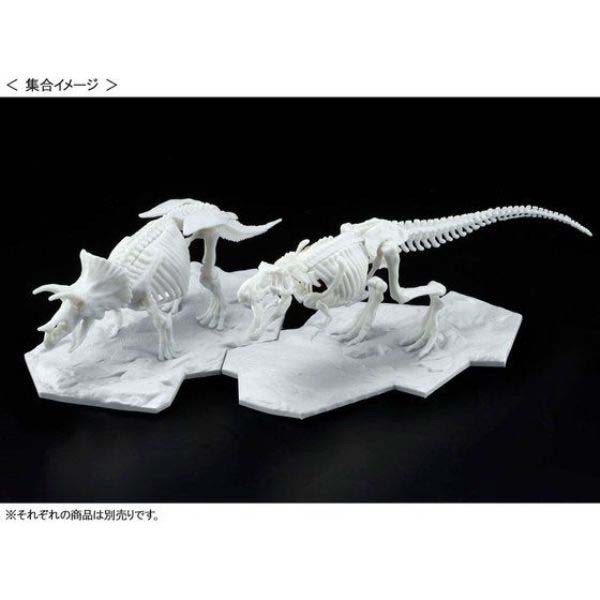 (PO) LIMEX Dinosaur Skeleton - Tyrannosaurus Image_6