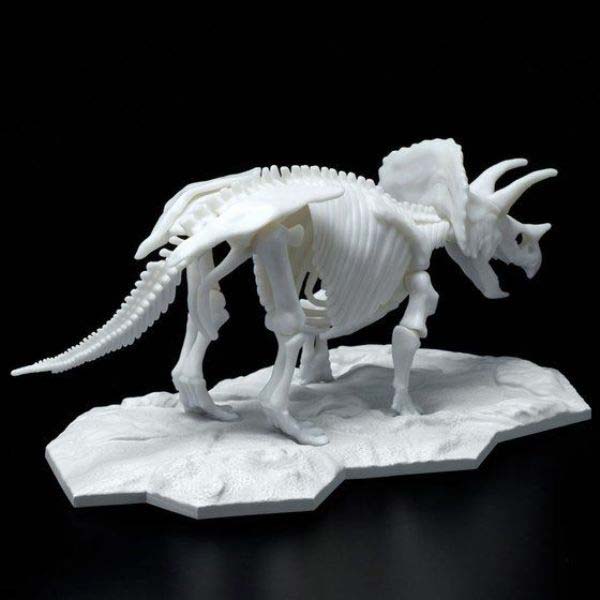 (PO) LIMEX Dinosaur Skeleton - Triceratops Image_3