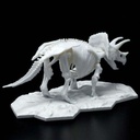 (PO) LIMEX Dinosaur Skeleton - Triceratops Image_3