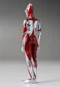 (PO) Shin Ultraman FigZero S 6-inch Ultraman Image_4