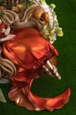 (PO) FairyTale - Another Sleeping Beauty Image_9
