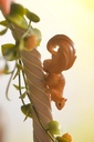 (PO) FairyTale - Another Sleeping Beauty Image_11
