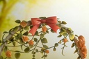(PO) FairyTale - Another Sleeping Beauty Image_13