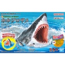 (PO) Exploring Lab Nature Great White Shark Image_1