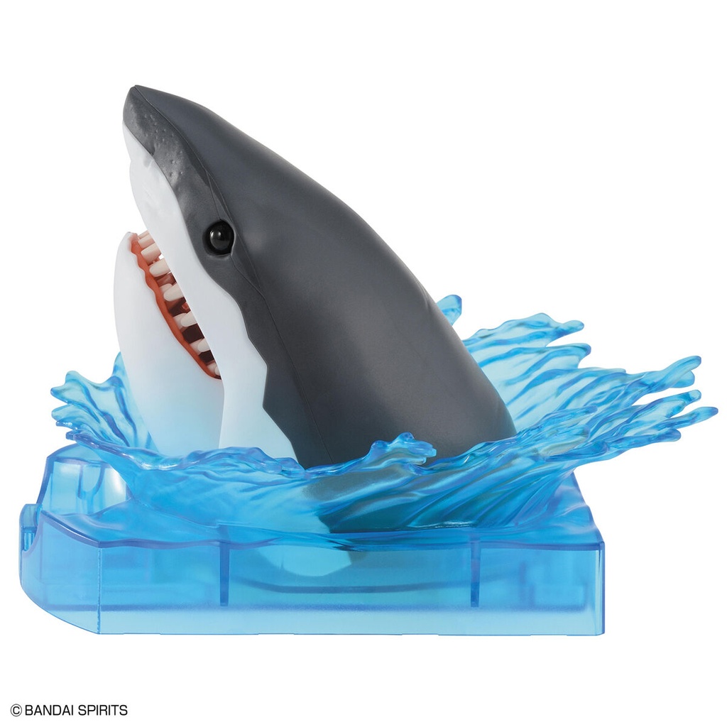 (PO) Exploring Lab Nature Great White Shark Image_4