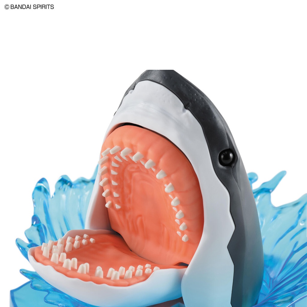 (PO) Exploring Lab Nature Great White Shark Image_5