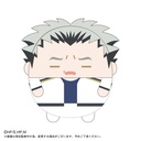 (PO) HQ-26 Haikyu! Fuwakororin Special [BOX] Image_8