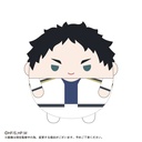 (PO) HQ-26 Haikyu! Fuwakororin Special [BOX] Image_9