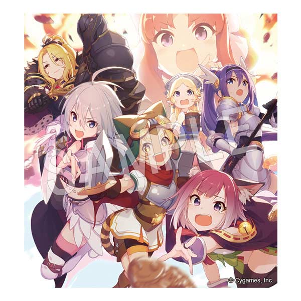 (PO) Princess Connect! Re:Dive Trading Shikishi Collection Vol. 1 [BOX] Image_5