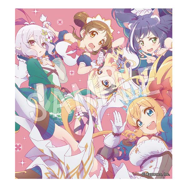 (PO) Princess Connect! Re:Dive Trading Shikishi Collection Vol. 1 [BOX] Image_9
