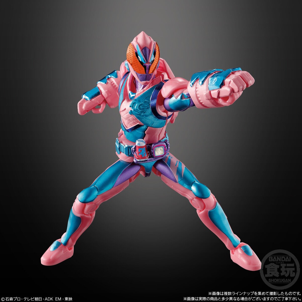 (PO) Soudou Kamen Rider Revice 5 [BOX] Image_4