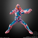 (PO) Soudou Kamen Rider Revice 5 [BOX] Image_4