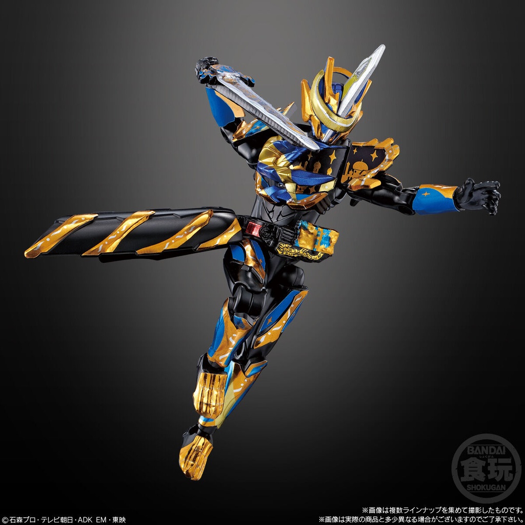 (PO) Soudou Kamen Rider Revice 5 [BOX] Image_6