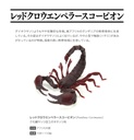 (PO) The Diversity of Life on Earth - Scorpion Image_4
