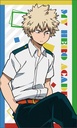 (PO) My Hero Academia Lamination Card Collection [BOX] Image_15