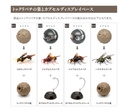 (PO) The Diversity of Life on Earth - Potter Wasp Image_2