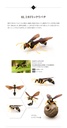 (PO) The Diversity of Life on Earth - Potter Wasp Image_4