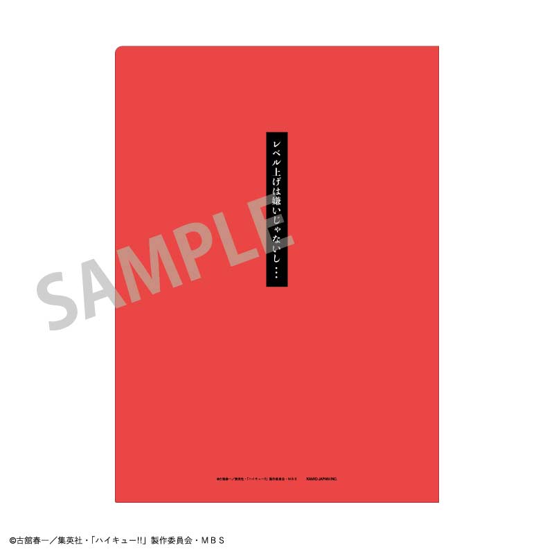 (PO) Haikyu! A4 Trading Words Clear File [BOX] Image_19