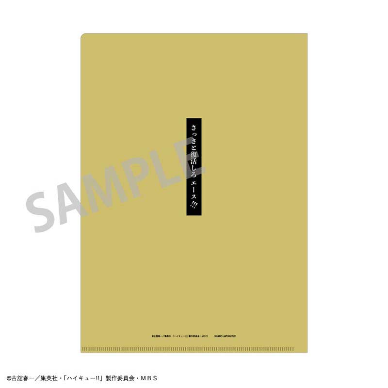 (PO) Haikyu! A4 Trading Words Clear File [BOX] Image_27