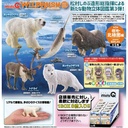 (PO) miniQ Wild Rush - Shin History of World Animals III Polar Regions Arcti Ver. (6) Image_1