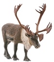(PO) miniQ Wild Rush - Shin History of World Animals III Polar Regions Arcti Ver. (6) Image_5