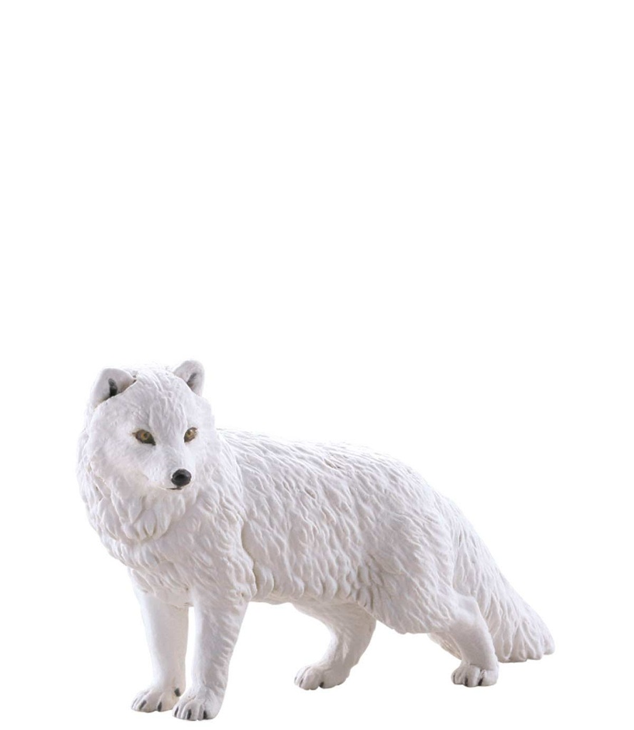 (PO) miniQ Wild Rush - Shin History of World Animals III Polar Regions Arcti Ver. (6) Image_7