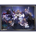 (PO) Shadowverse EVOLVE Special Starter Set Image_2