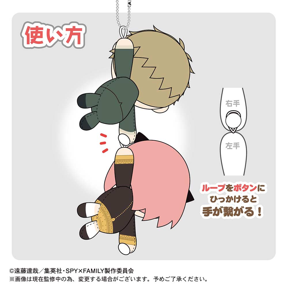 (PO) SPF-06 SPY x FAMILY TeteColle [BOX] Image_11