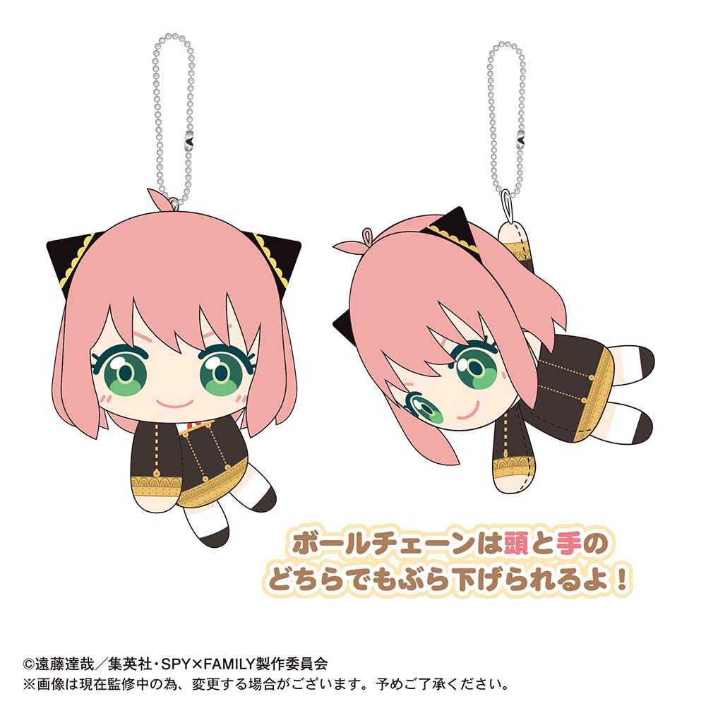 (PO) SPF-06 SPY x FAMILY TeteColle [BOX] Image_12