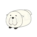 (PO) SPY x FAMILY Mamekororin [BOX] Image_5