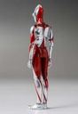 (PO) Shin Ultraman FigZero S 6-inch Ultraman (Re-issue) Image_5