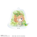 (PO) The Quintessential Quintuplets Movie Trading Acrylic Key Chain Chara Dolce [BOX] Image_11