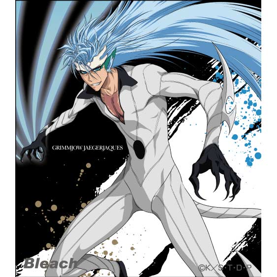 (PO) Bleach my Sword, My Soul Mini Shikishi Grimmjow Jaegerjaquez Image_1