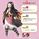 (PO) Kimetsu Model Demon Slayer: Kimetsu no Yaiba - Kamado Nezuko Image_4