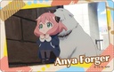 (PO) SPY x FAMILY Clear Card Vol. 2 [BOX] Image_7