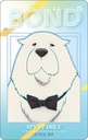 (PO) SPY x FAMILY Clear Card Vol. 2 [BOX] Image_20