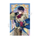 (PO) Dream Meister and the Recollected Black Fairy Shiny Card Collection Vol. 1 [BOX] Image_4