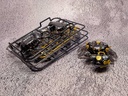 (PO) AQUACULTURE TANK 007 Fiddler Crab Gold Black Image_11